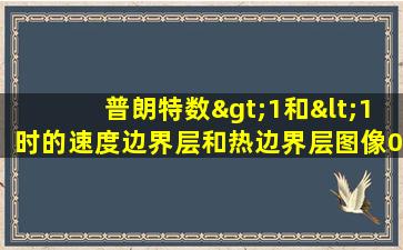 普朗特数>1和<1时的速度边界层和热边界层图像0